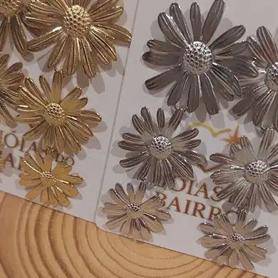 Brincos Amara